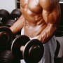 Best Muscle Building Exercises