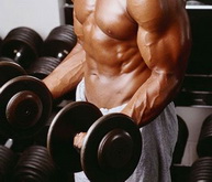 Best Muscle Building Exercises